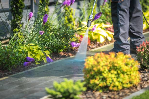 Best Sidewalk and Walkway Cleaning  in Salem, NJ